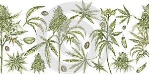 Cannabis leaves seamless border. Watercolor flora illustration. Hemp medical herb element. Cannabis hand drawn medicine plant