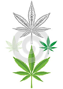 Cannabis Marijuana Leaf