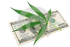 The cannabis and money