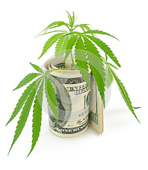 The cannabis and money