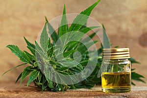 Medical cannabis oil extract and hemp plant