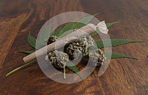 Cannabis sativa flower buds and leafs, with a rolled weed joint