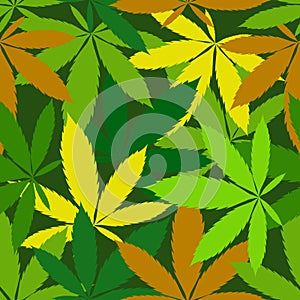 Cannabis seamless pattern