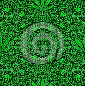 Cannabis weed