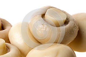 Canned Button Mushrooms Isolated