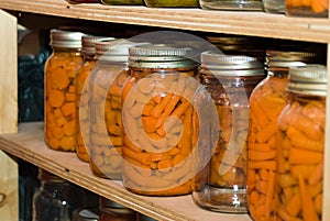 Canned Carrots