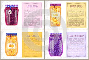 Canned Citruses and Berries with Stickers Poster