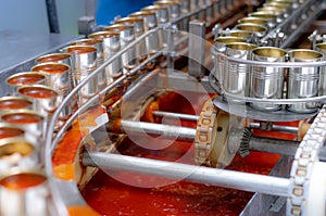 Canned fish factory. Food industry.  Sardines in red tomato sauce in tinned cans at food factory. Food processing production line