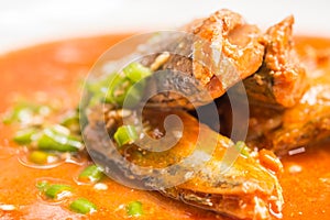 Canned fish in tomato sauce