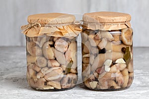 Canned forest mushrooms. img