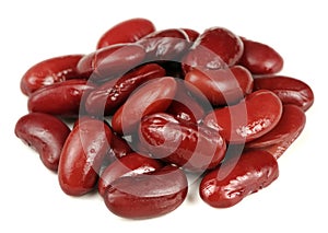 Canned Kidney Beans Isolated on White Background