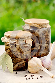 Canned Marinated Honey Fungus, copy space for your text