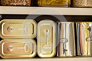 Canned meat food cans stored on kitchen shelf