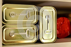 Canned meat food cans stored on kitchen shelf