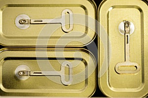 Canned meat food cans stored on kitchen shelf