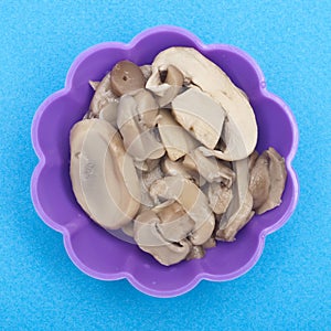 Canned Mushrooms