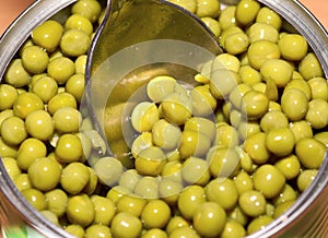 Canned peas in spoon and open tin can