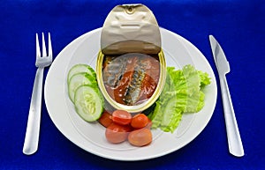 Canned Sardine fish in tomato sauce served on dish with salad