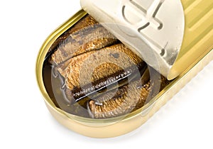 Canned sardines isolated