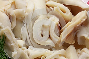 Canned sliced squid as a background close-up