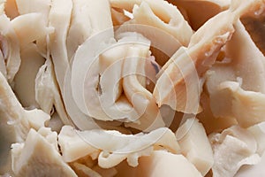 Canned sliced squid as a background close-up