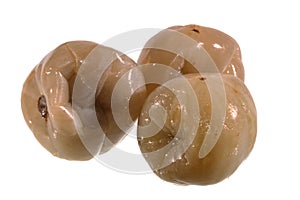 canned tomatoes isolated on white background