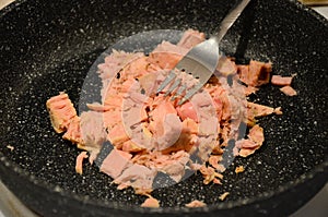 Canned tuna chunks