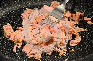 Canned tuna chunks