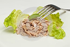 Canned tuna chunks