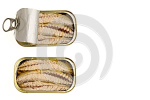 Canned tuna fillet with olive oil