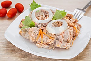 Canned tuna fish on white dish
