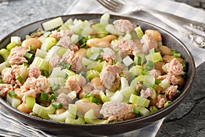 Canned tuna salad with butter beans, celery, green onions and capers close-up in a plate. Horizontal