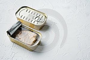 Canned wild Trout, in tin can, on white background, with copyspace  and space for text