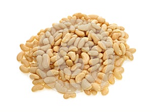 Cannellini white beans