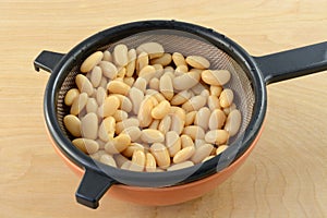 Cannellini white kidney beans