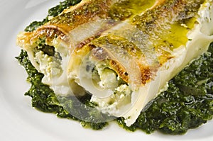 Cannelloni