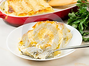 Cannelloni with filling of ricotta and parsley, baked with bÃ©chamel sauce, side view, white marble background