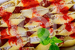 Cannelloni pasta shells in sauce the bolognese