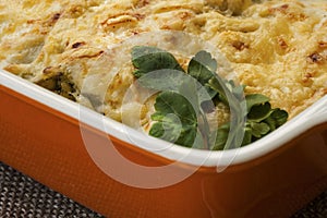 Cannelloni with spinach and ricotta in a pan