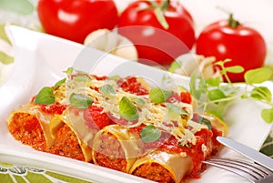 Canneloni with meat photo