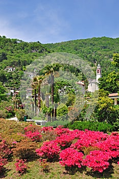 Cannero Riviera,Lake Maggiore,Lago Maggiore,Italy