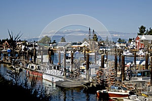 Cannery Row photo