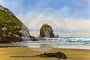 Cannibal Bay on Pacific coast