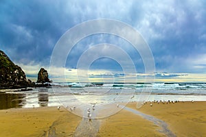 Cannibal Bay on the South Island