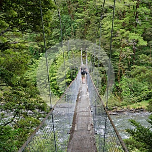 Cannibal Gorge swing bridge, St James Walkway, New Zealand