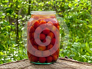 Canning tomatoes or berries