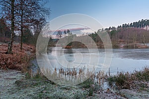 Cannock Chase, AONB in Staffordshire