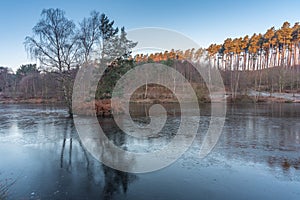 Cannock Chase, AONB in Staffordshire