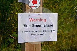 Cannock, Staffordshire, UK. 11th August 2017. Blue-green algae has hit problematic levels at Chasewater Country Park with warning