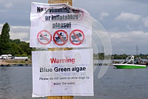 Cannock, Staffordshire, UK. 11th August 2017. Blue-green algae has hit problematic levels at Chasewater Country Park with warning